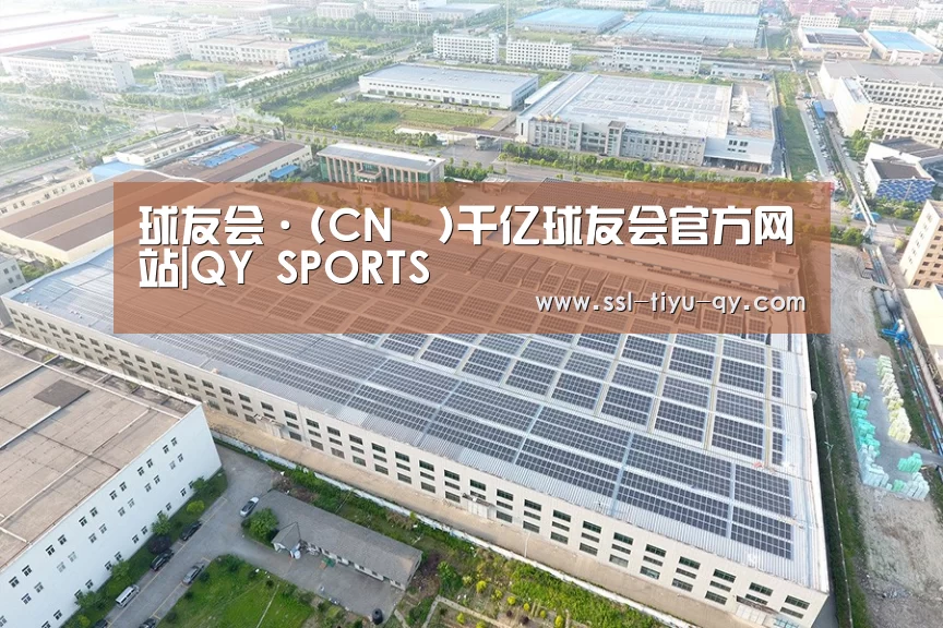 案例展示二