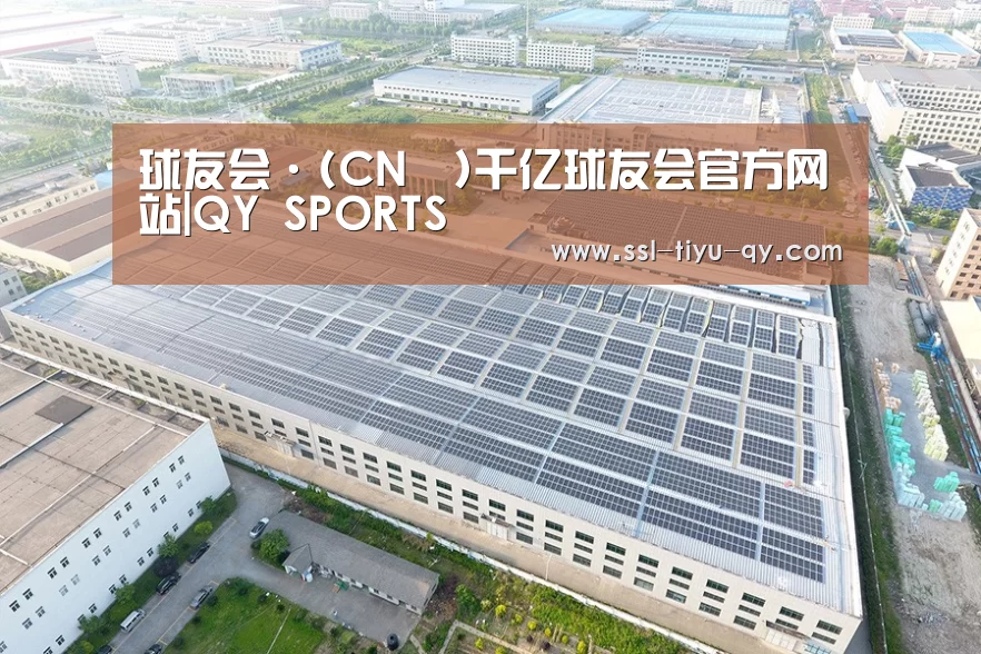案例展示三