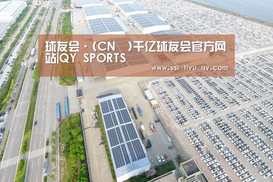 案例展示一